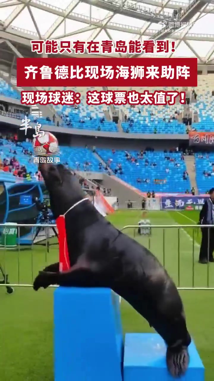 齊魯?shù)卤纫牒*{表演 現(xiàn)場頂球引球員側(cè)目 齊魯?shù)卤纫牒*{表演 現(xiàn)場頂球引球員側(cè)目
