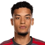 塞爾瓦尼亞